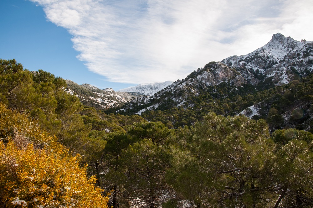 Studio Navara Cerro del Trevenque 2079 m. n. m. Spanelsko